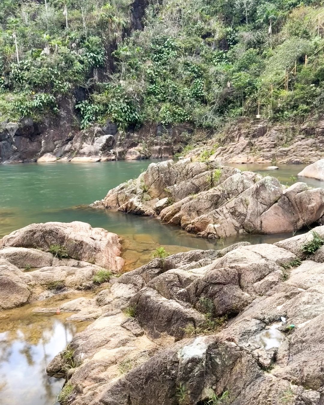 Dove si trova la Mountain Pine Ridge Forest Reserve