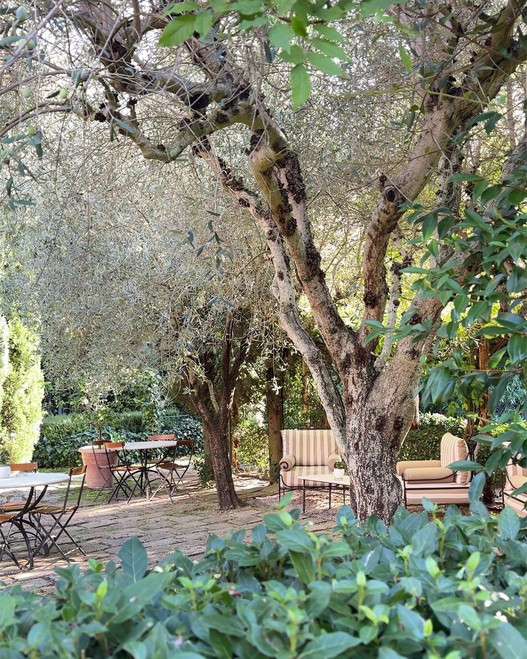 Horto-Giardino immerso nel verde