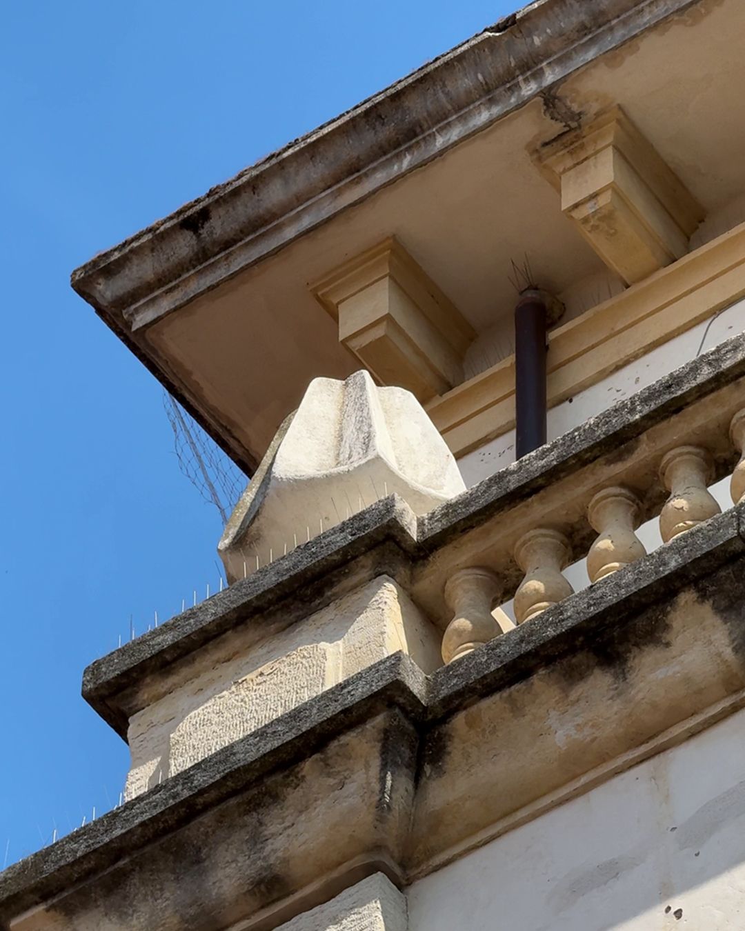 I pandori scultura di Verona
