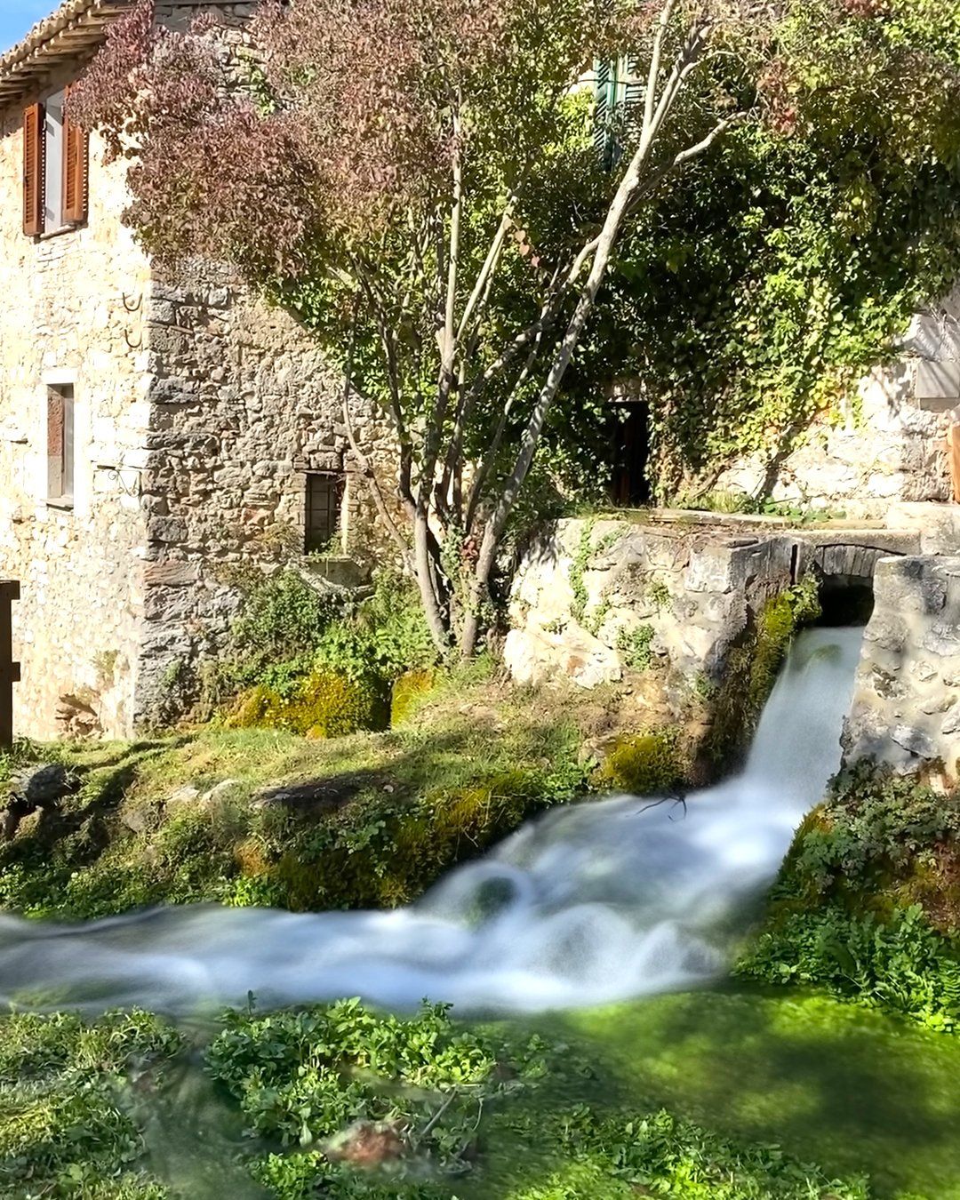 Rasiglia