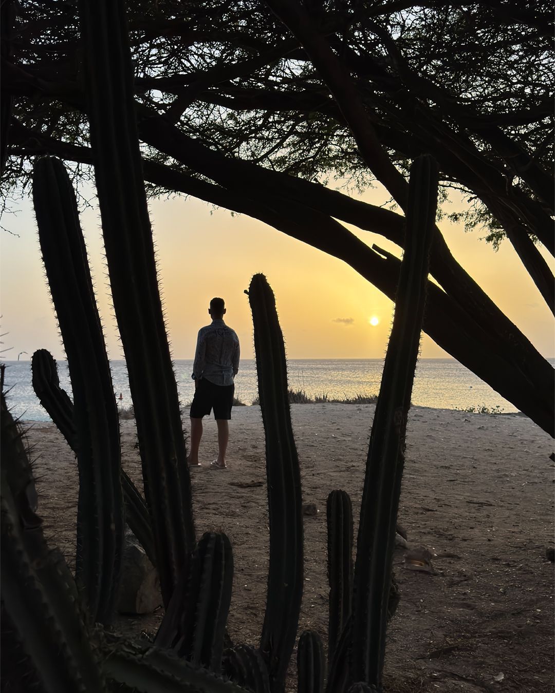 Clima di Aruba