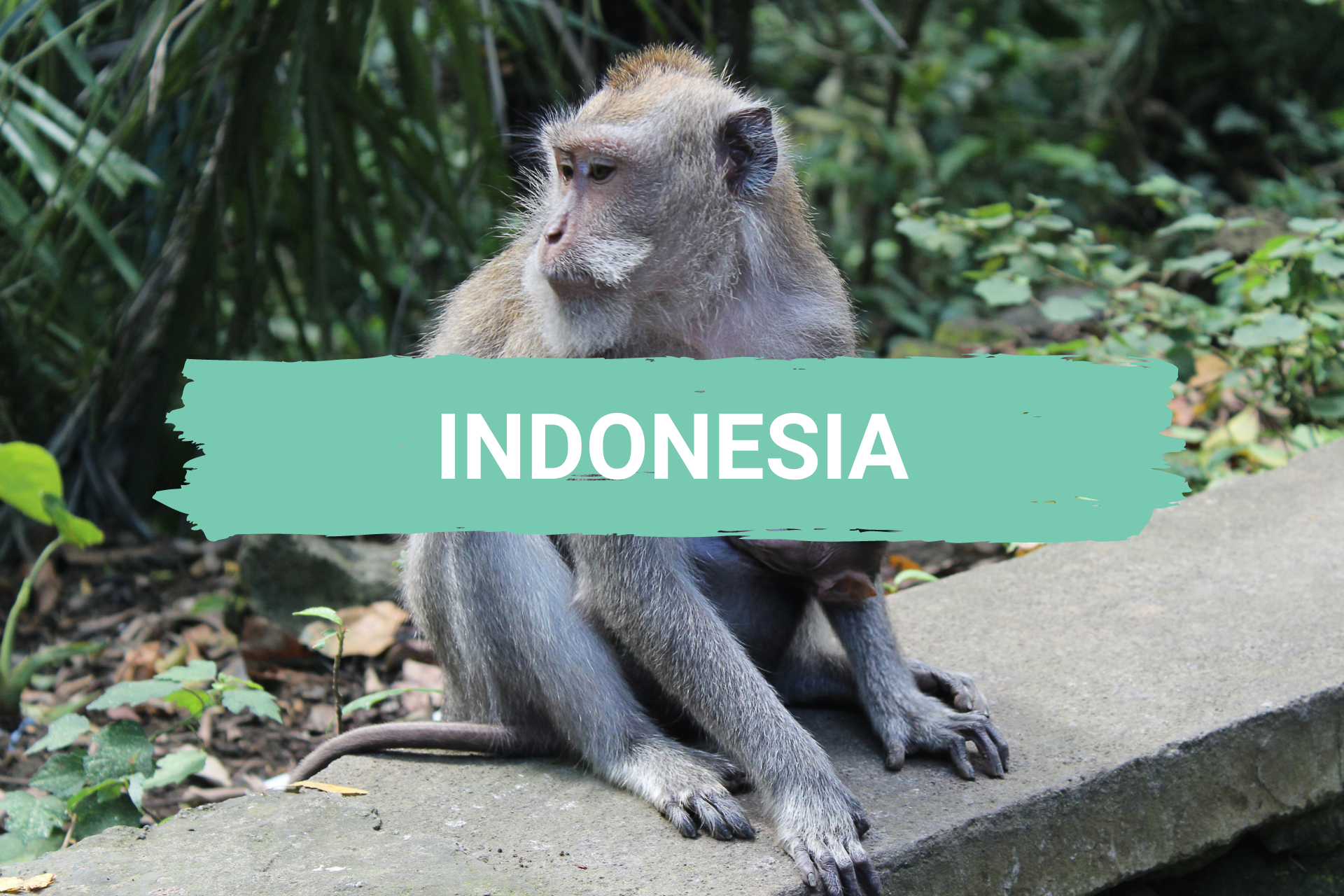 Indonesia