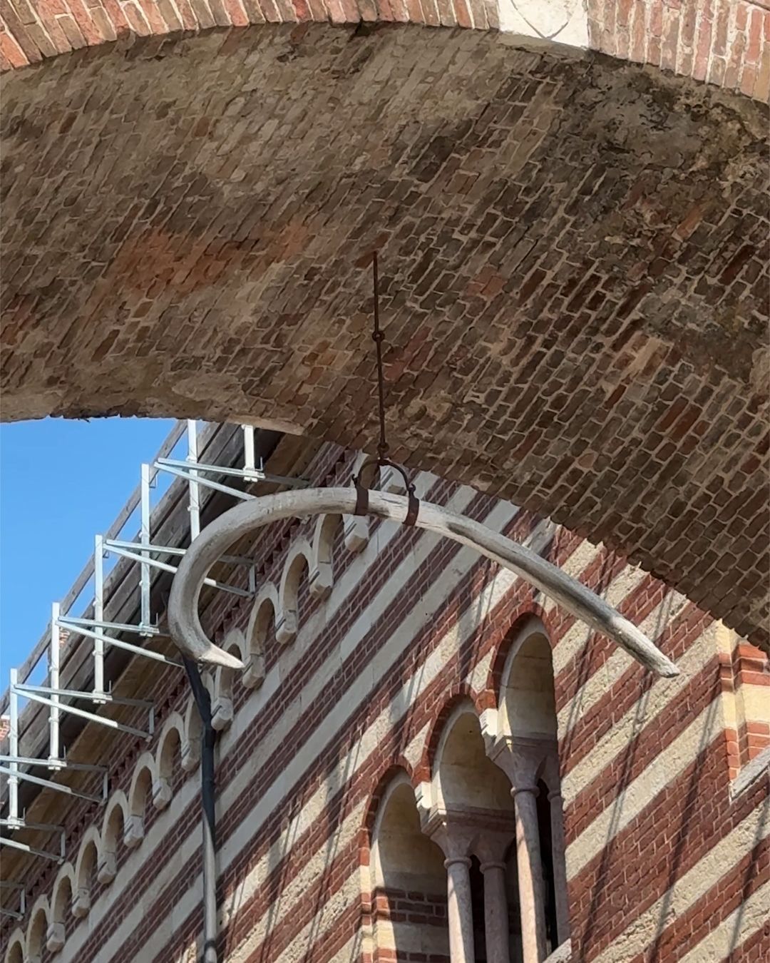 Osso di Balena Verona