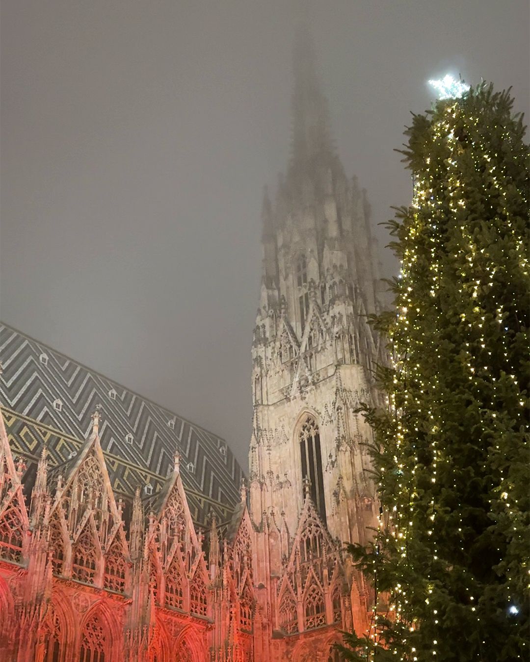 Mercatino di Natale a Vienna _ Stephansplatz