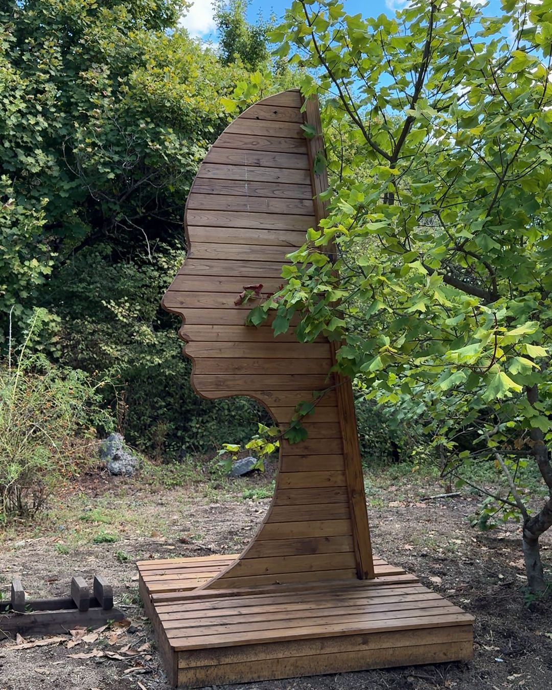 Museo diffuso del bosco, Rocca di Papa - Roma
