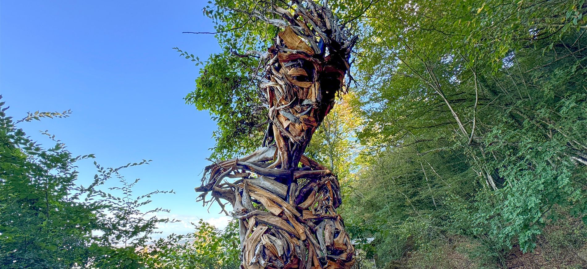 Sentiero della Via Sacra nel Museo Diffuso del Bosco di Rocca di Papa 