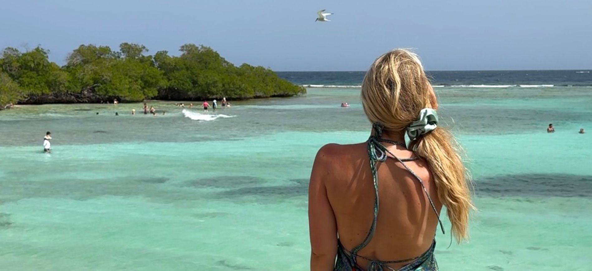 Aruba e  le sue spiagge paradisiache
