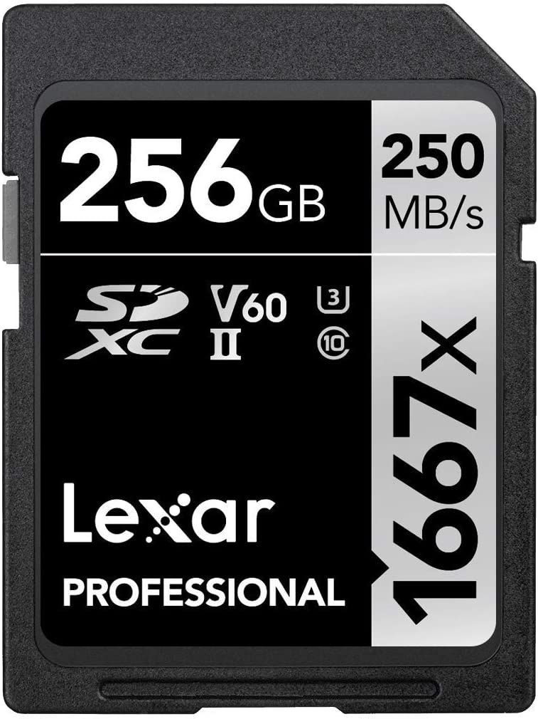 Scheda SD 256gb