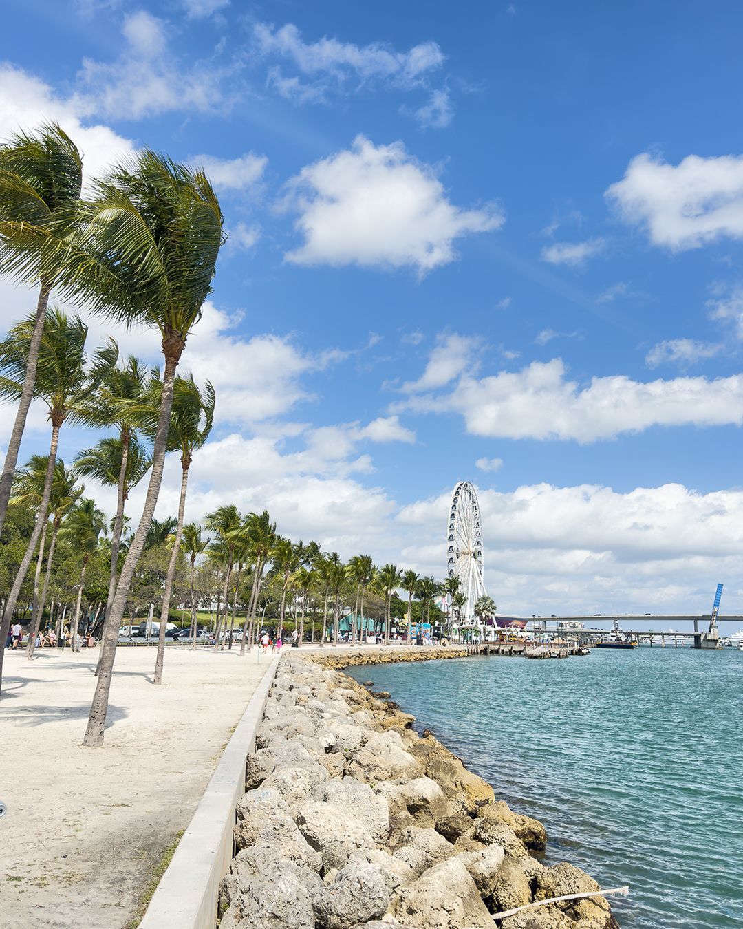 Periodo migliore per Miami: cosa sapere