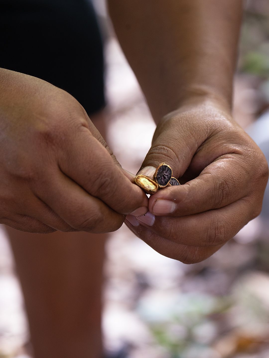 Chocolate Tour Belize
