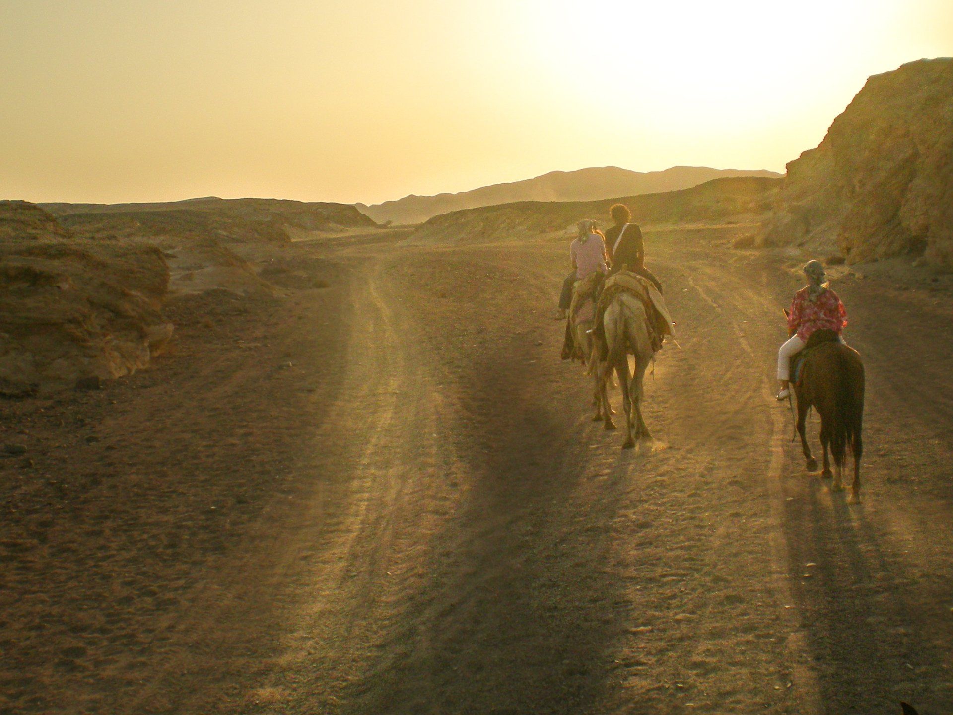 Escursioni nel deserto da fare a Marsa Alam