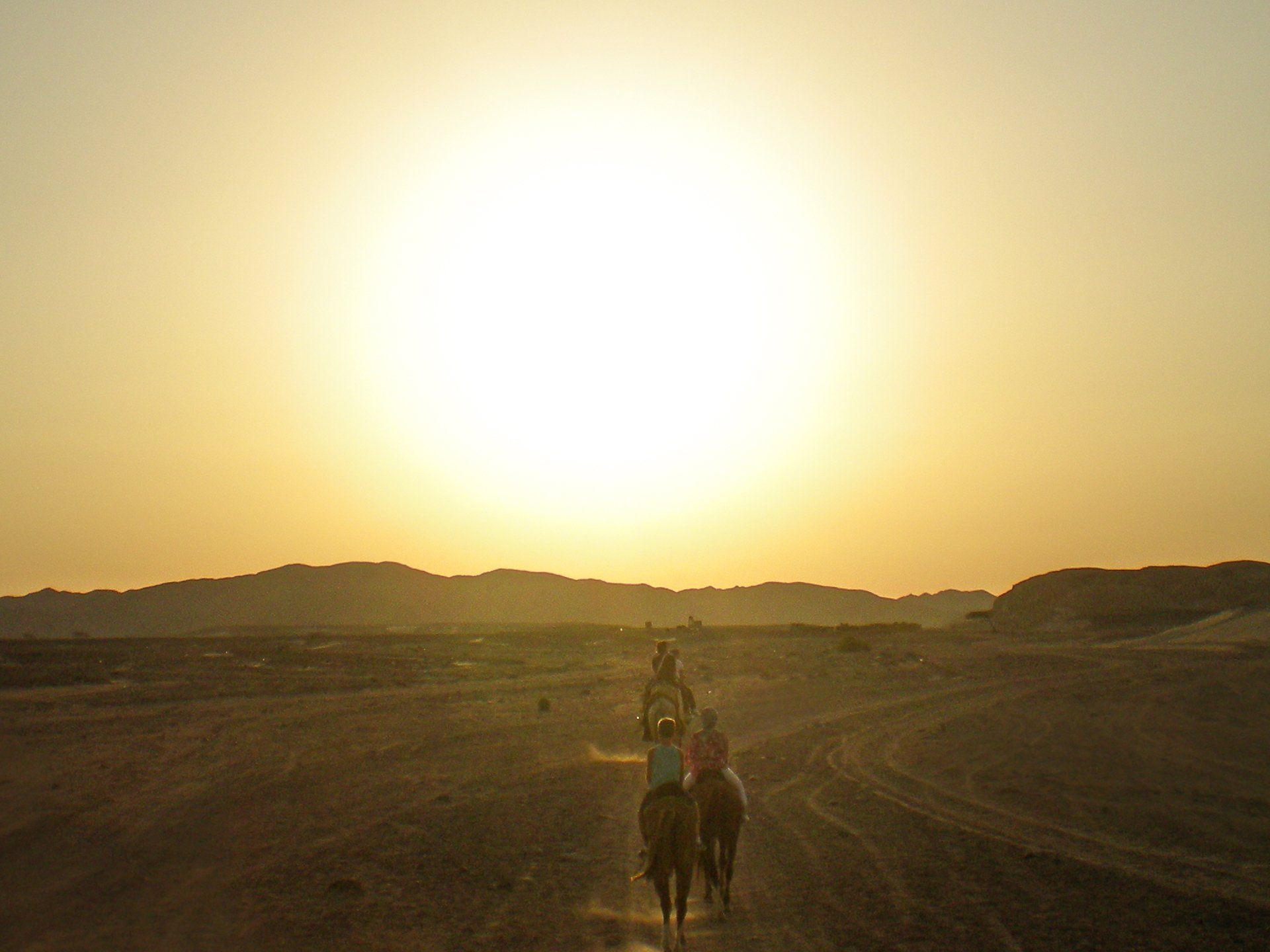 Deserto di Marsa Alam