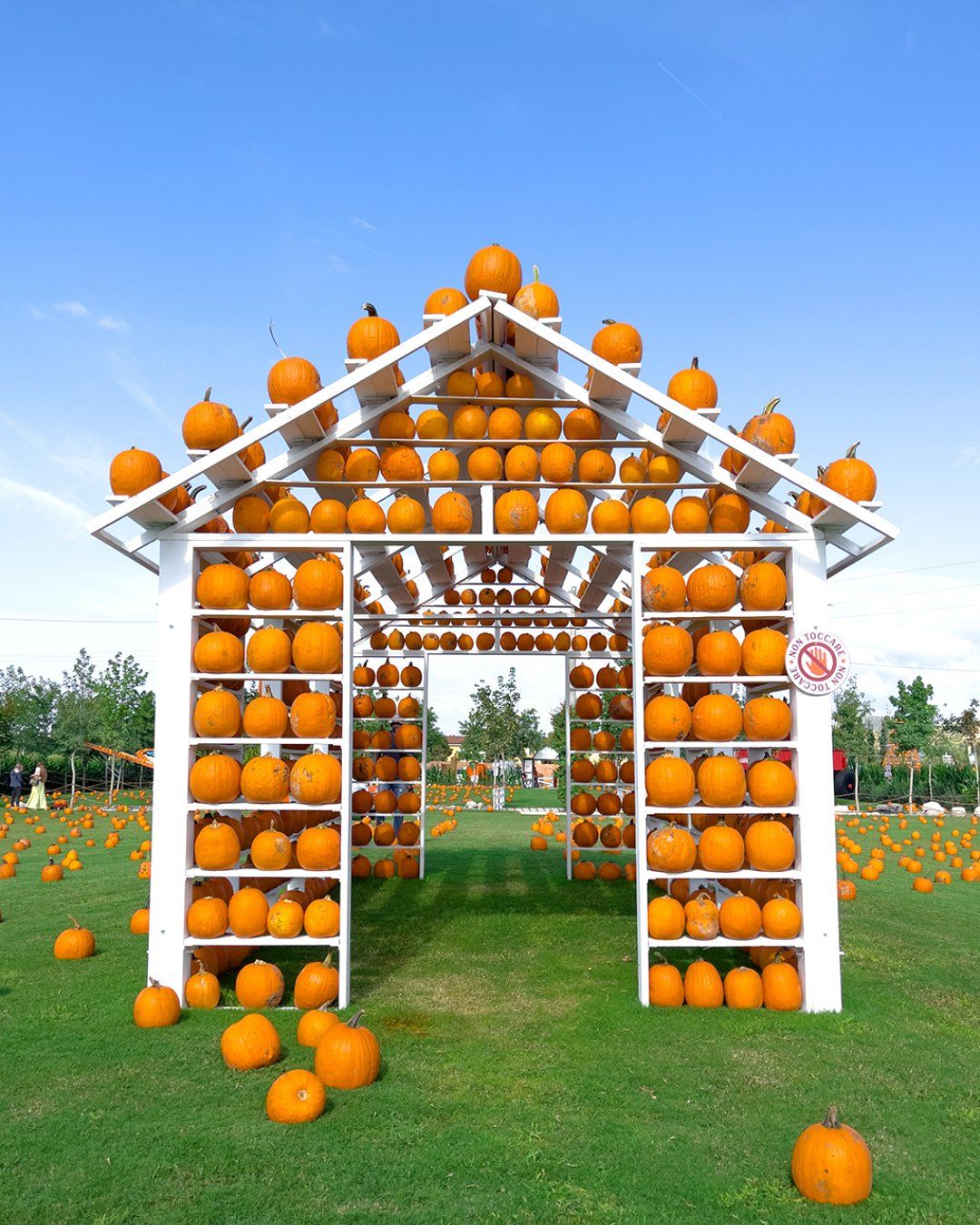 Giardino delle zucche Pignataro Maggiore