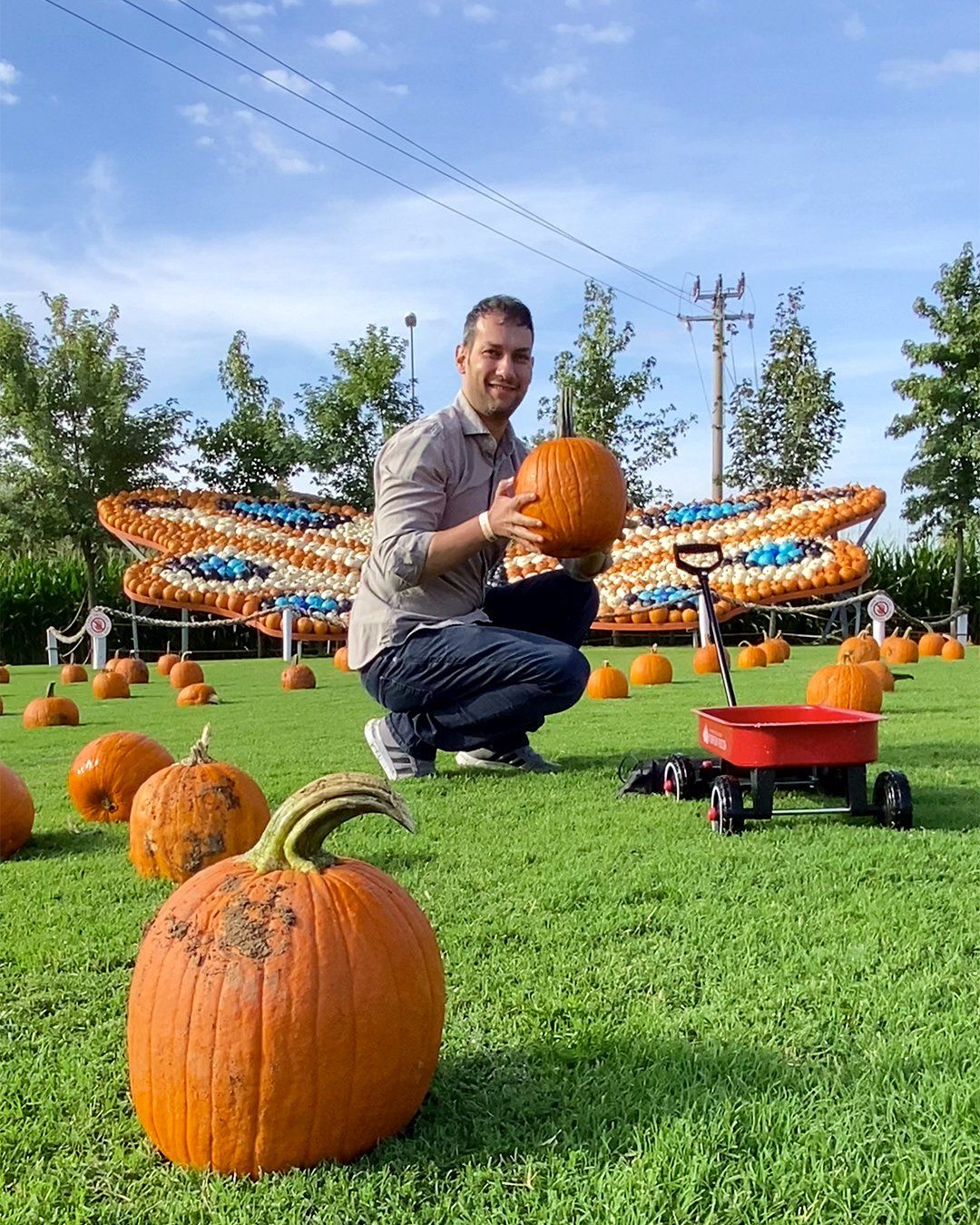 Pumpkin Patch Italia
