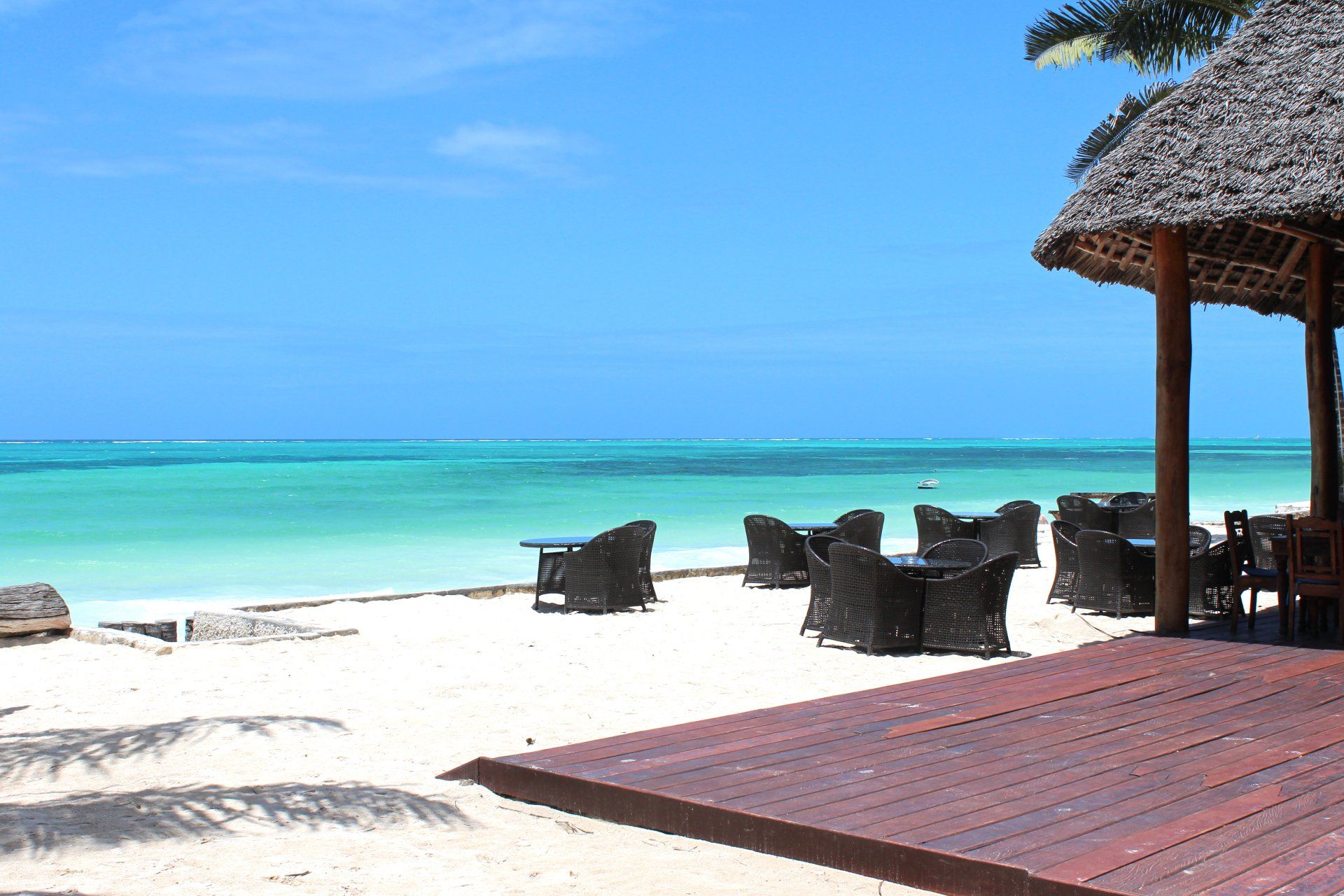 Cosa fare a Zanzibar: 7 esperienze da non perdere
