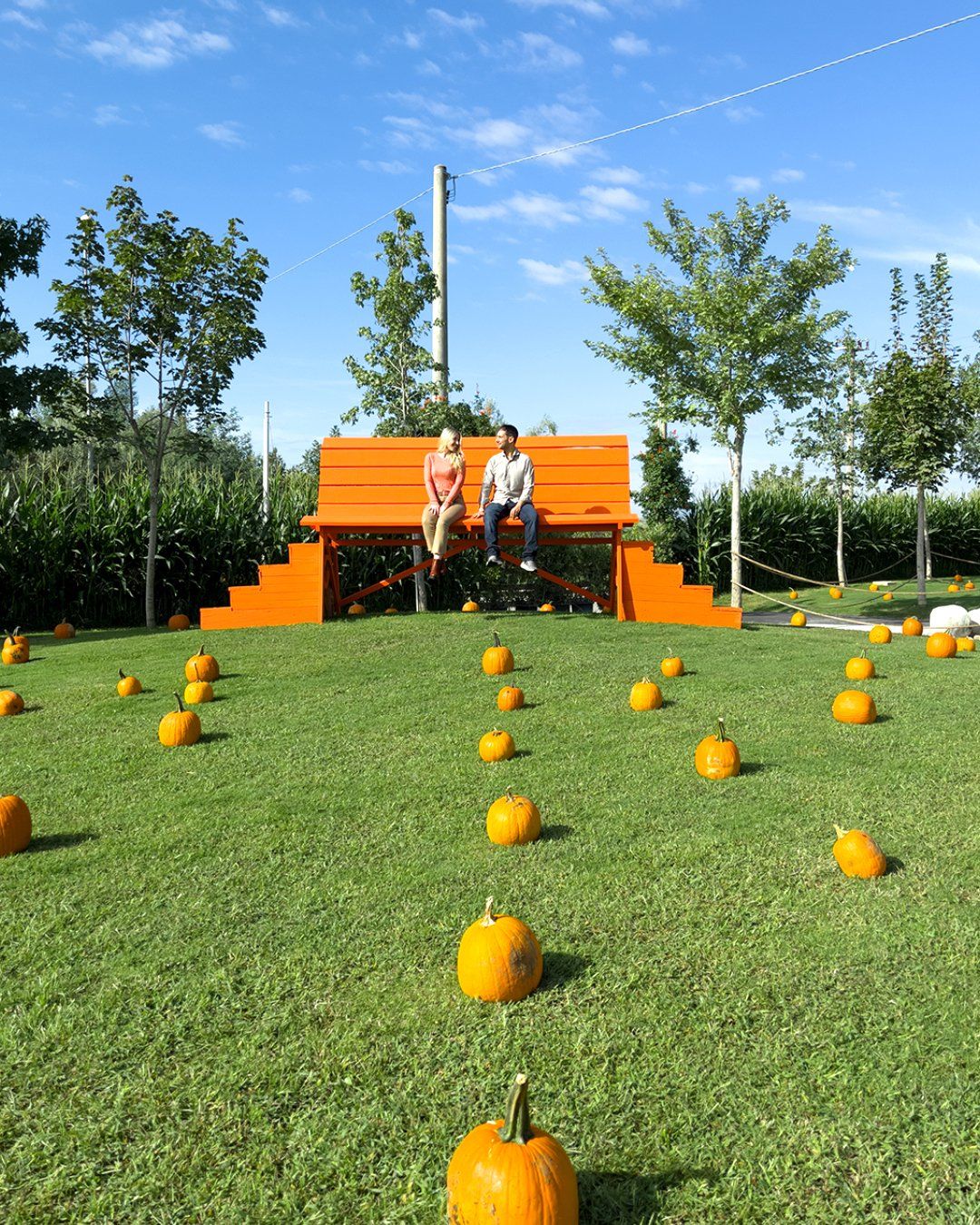 Pumpkin Patch Italia