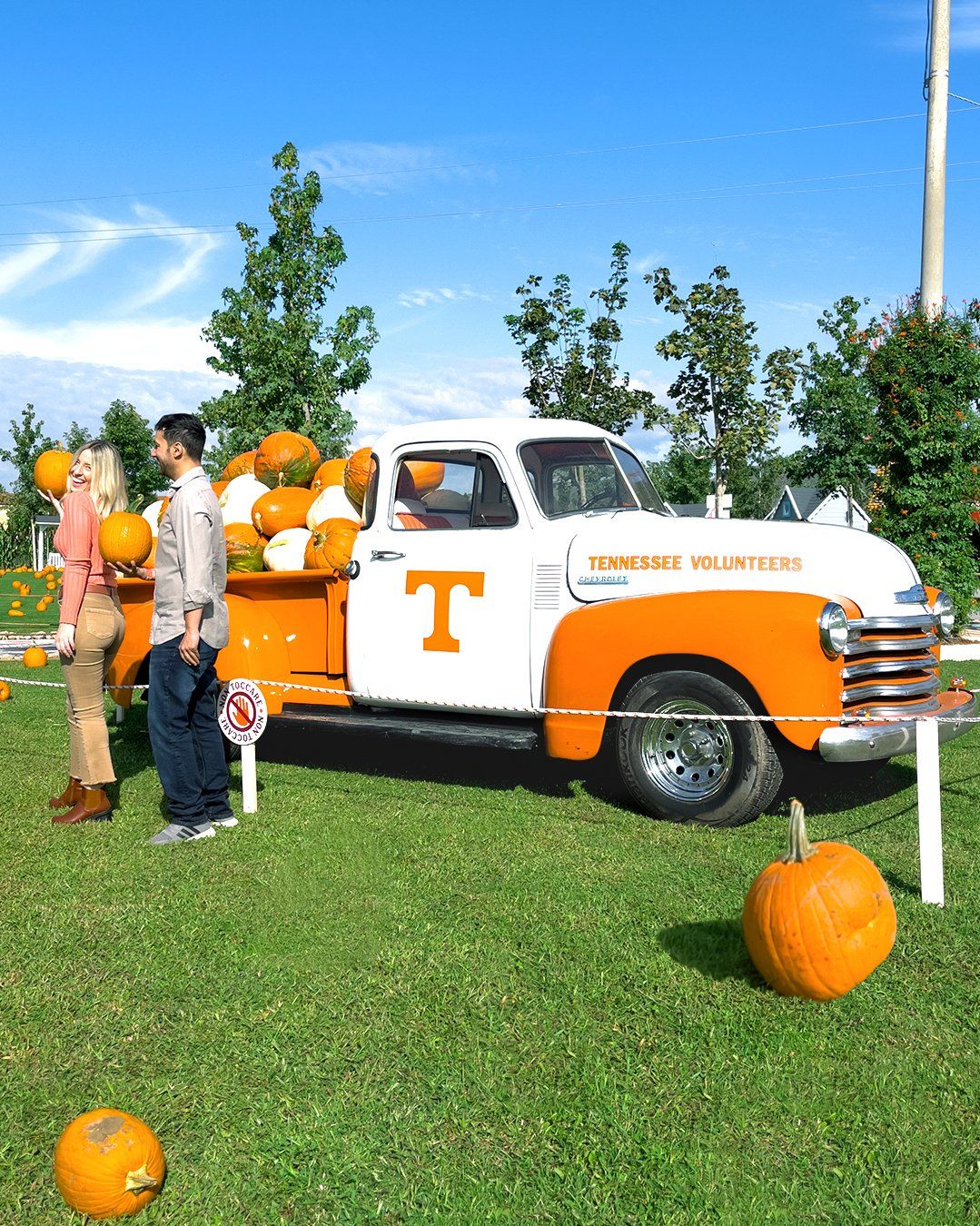 Halloween Pumpkin Patch Italia