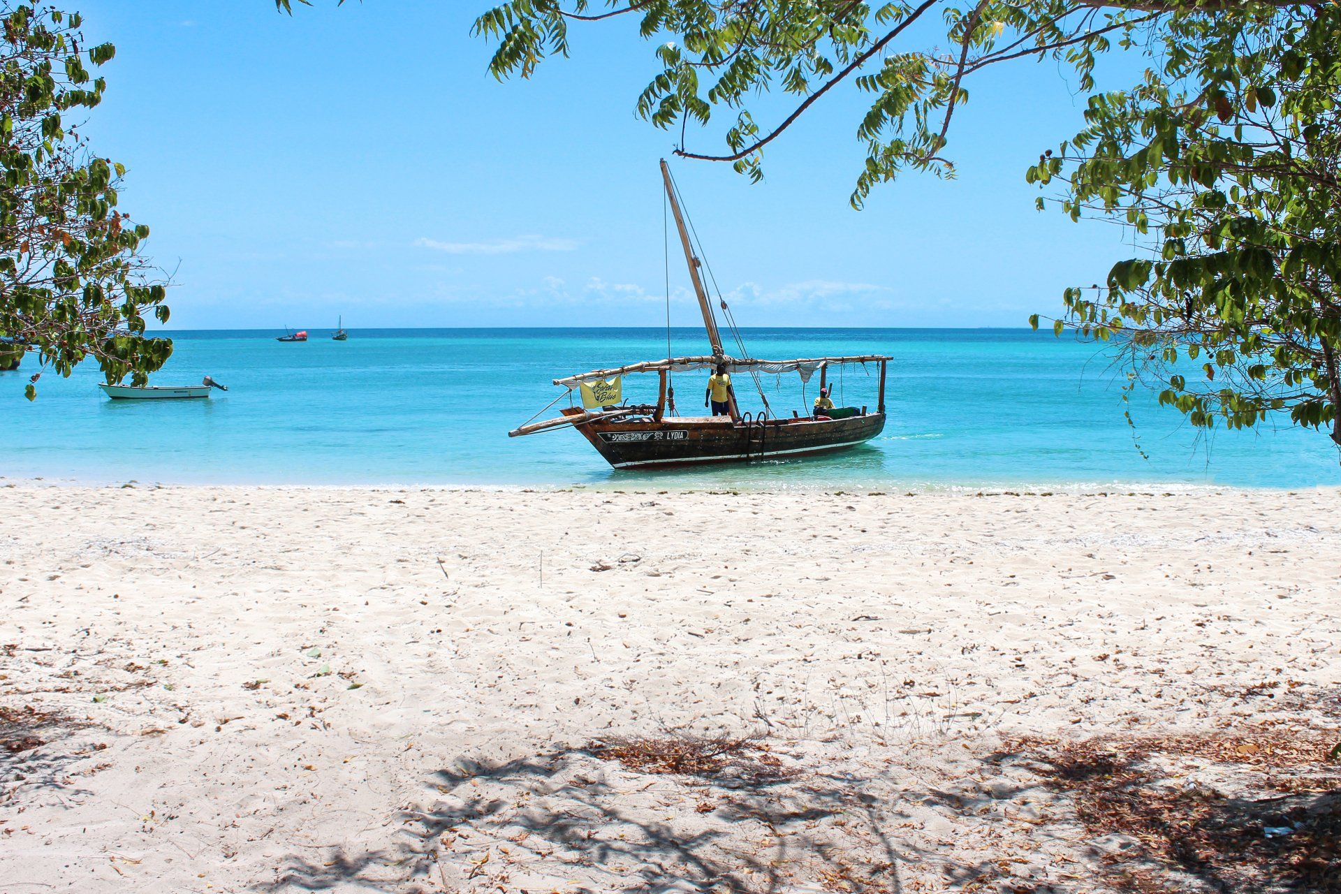 Safari blu Zanzibar