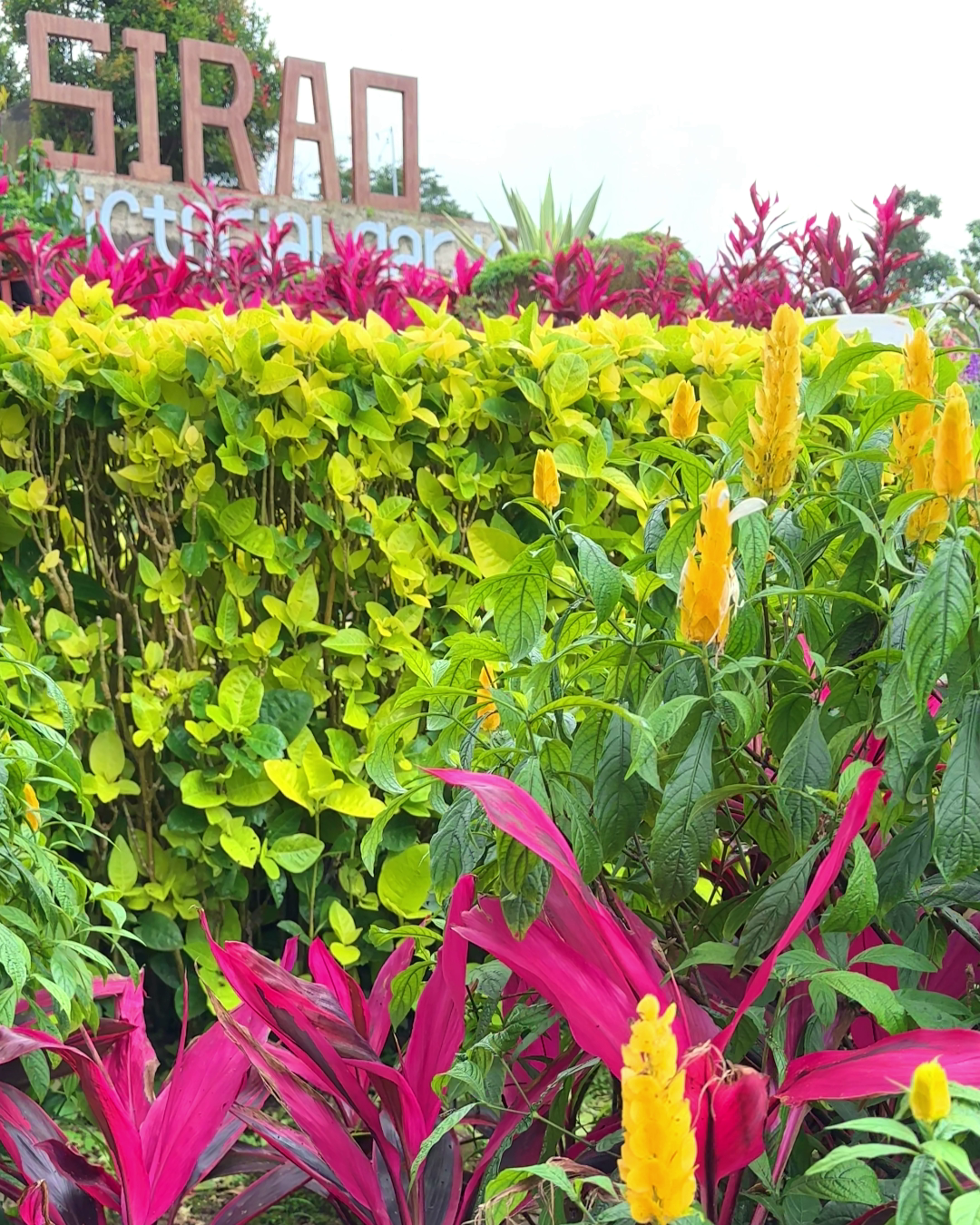 Sirao Garden Cebu