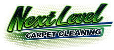 next level carpet cleaning logo