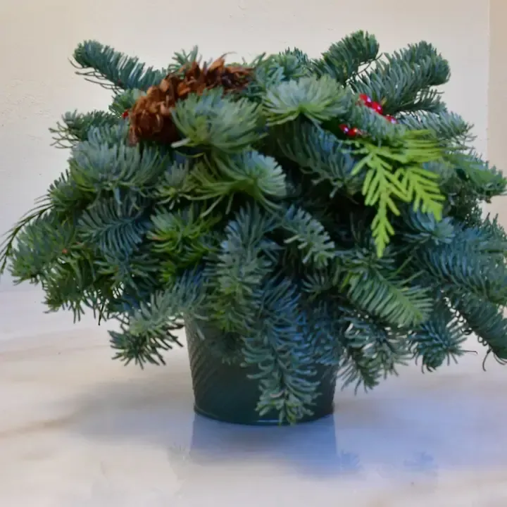 Noel Centerpiece