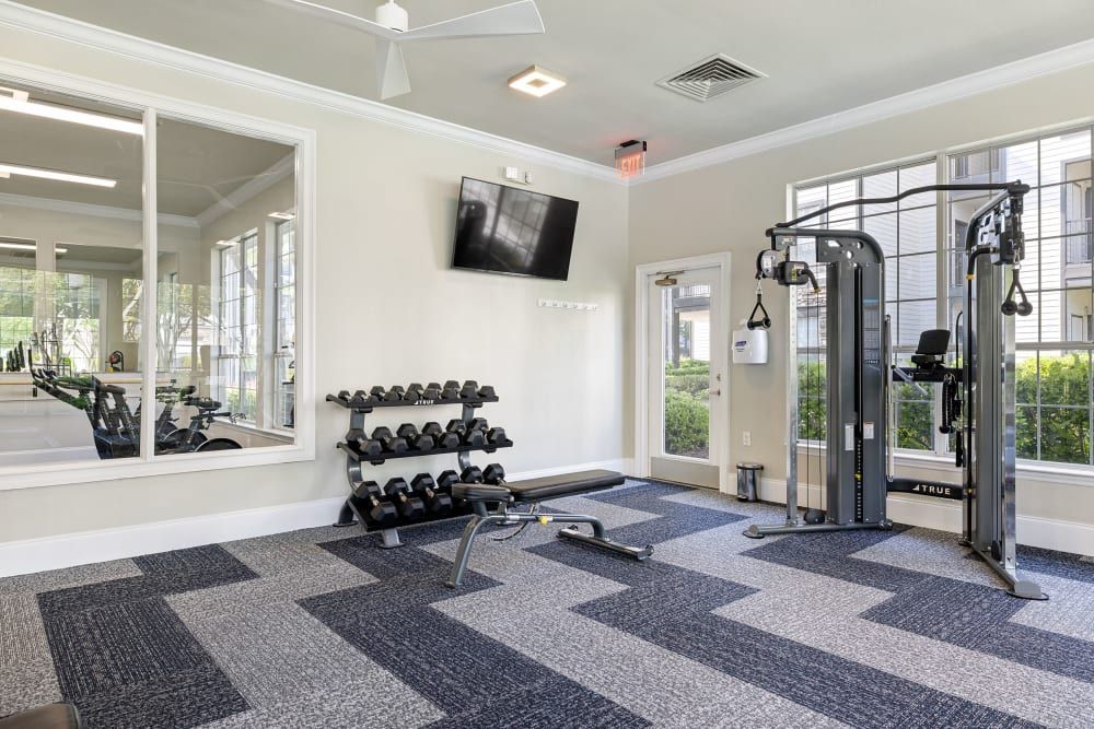 a gym with a lot of dumbbells and a tv on the wall at Marquis Carmel Commons in Charlotte, NC.