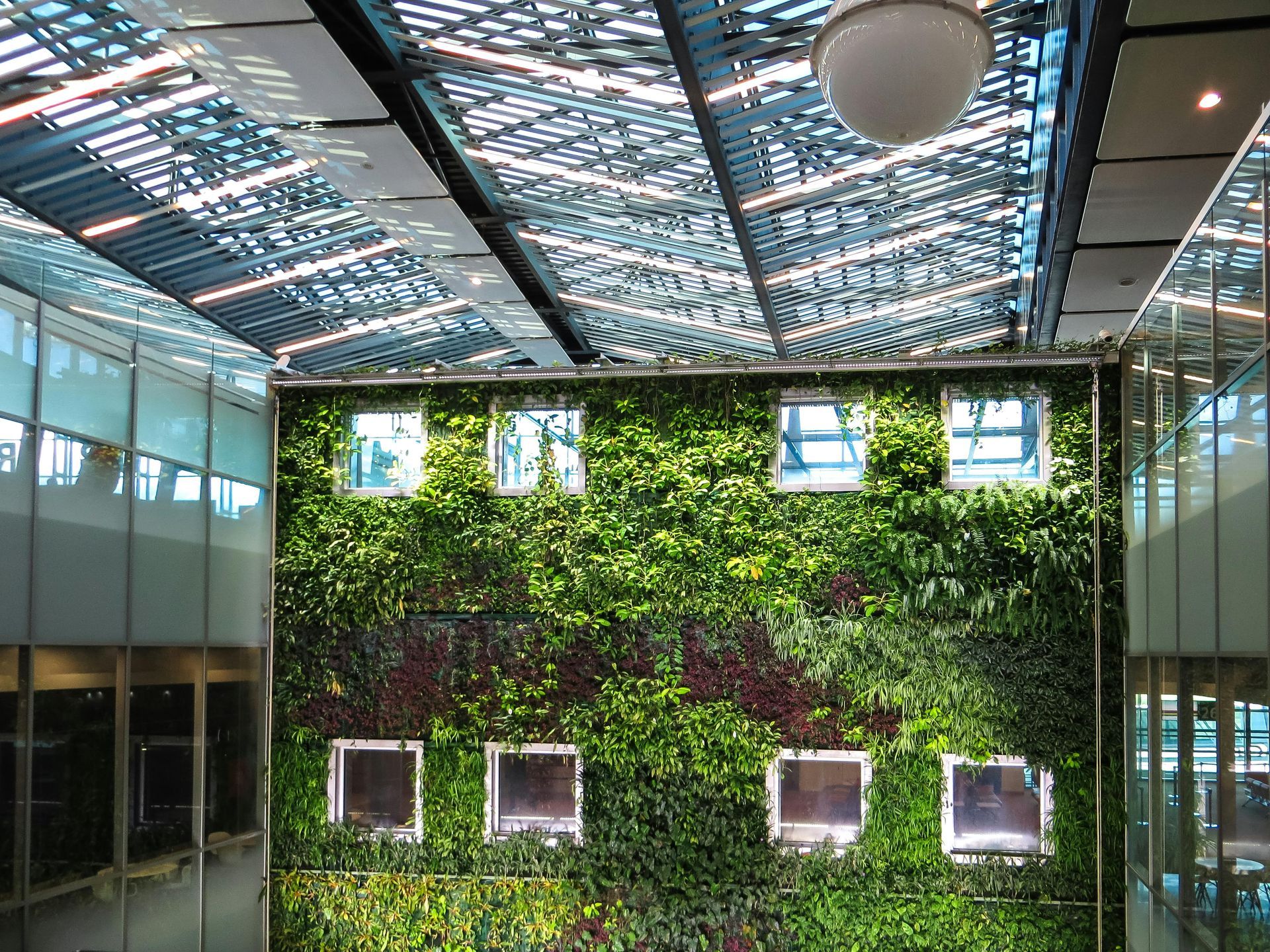 Modern indoor atrium with a lush green living wall, glass sides, and patterned ceiling lights