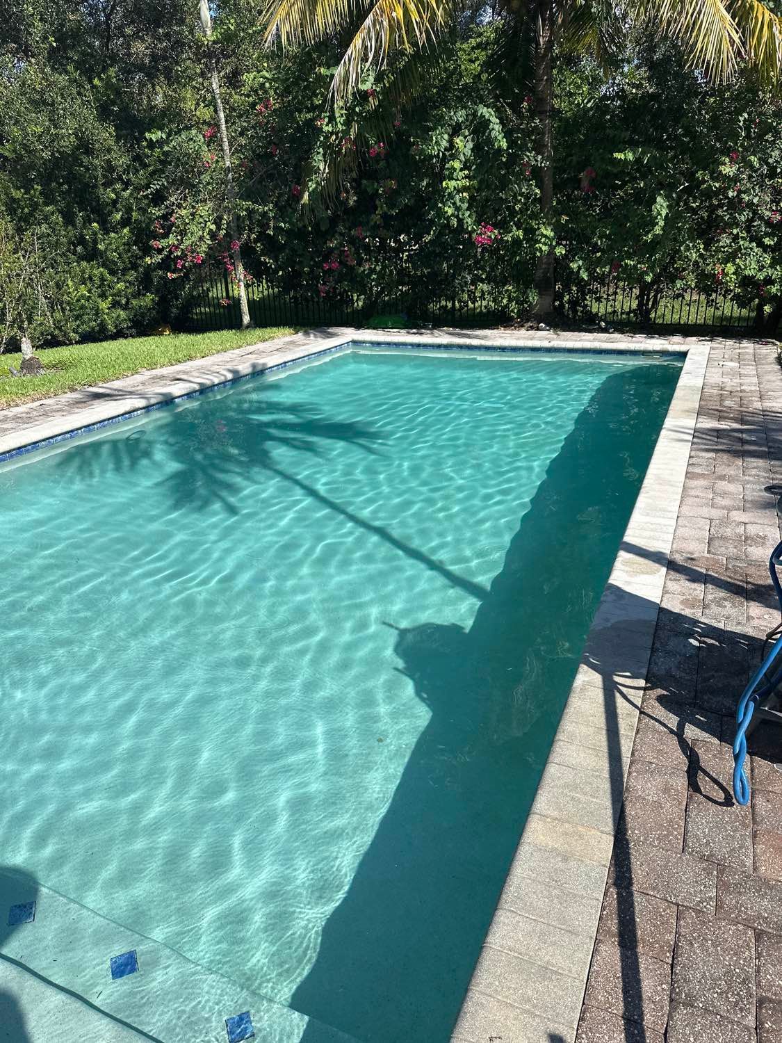Swimming pool with turquoise water, surrounded by brick patio and lush green foliage.