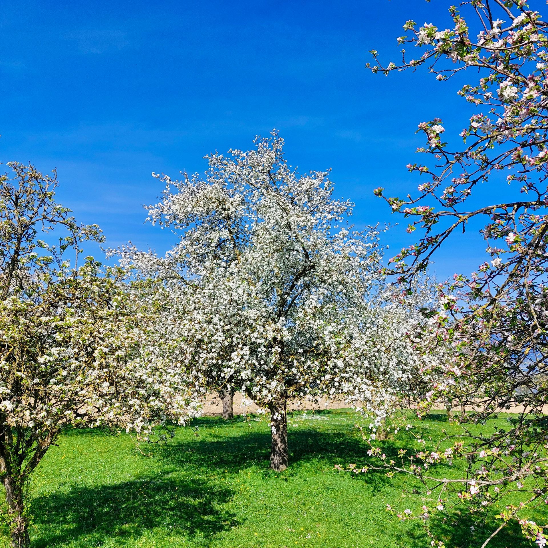 Processus de transformation profonds