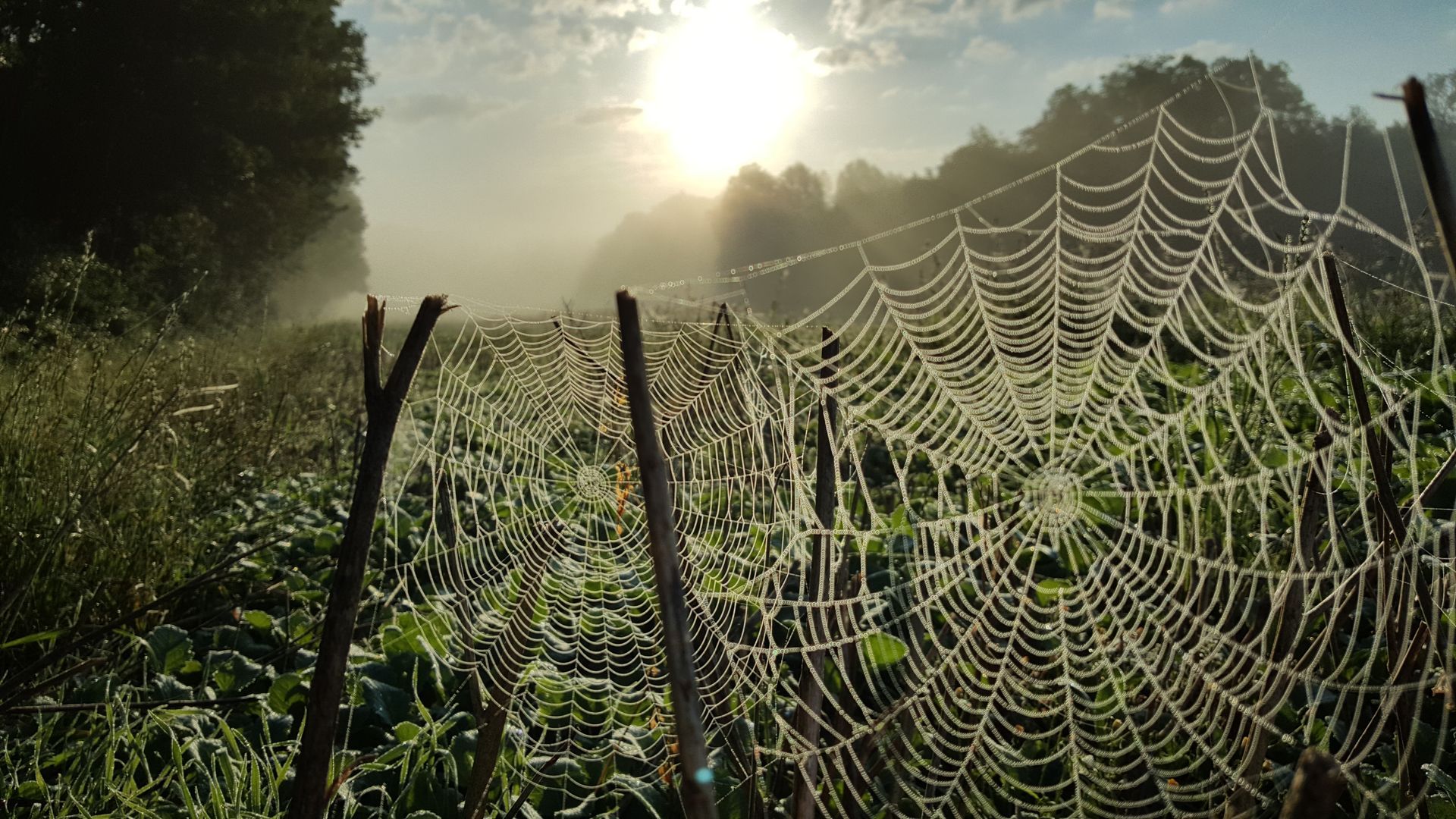 Processus de transformation profonds
