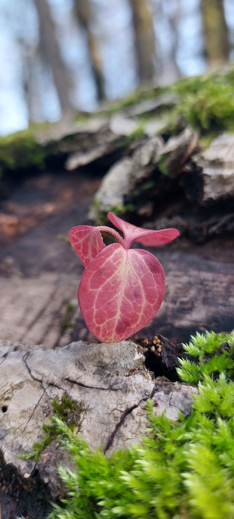 Processus de transformation profonds