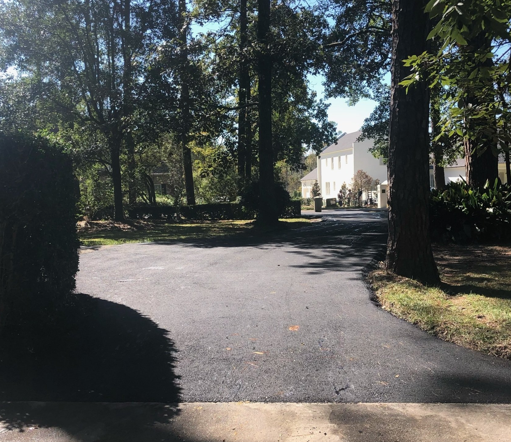 A Photo of a Road with Surrounded Trees — Covington, LA — Jenkins Construction and Asphalt