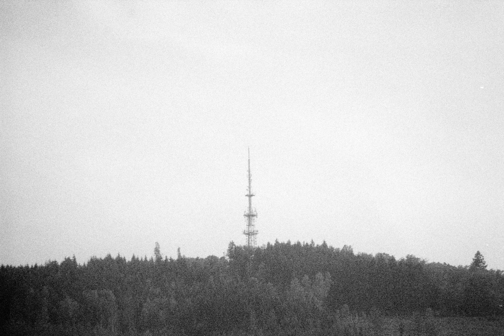 Photograph 1.2