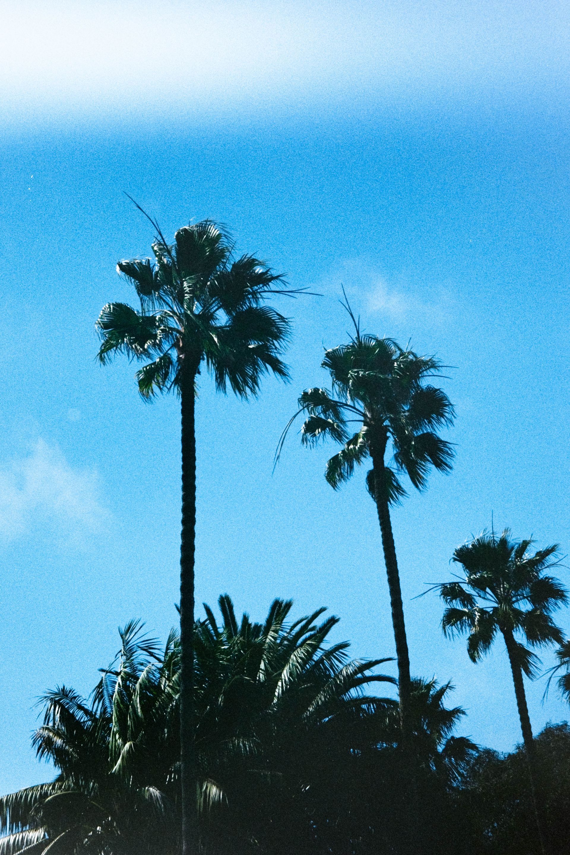 Photograph 1.3