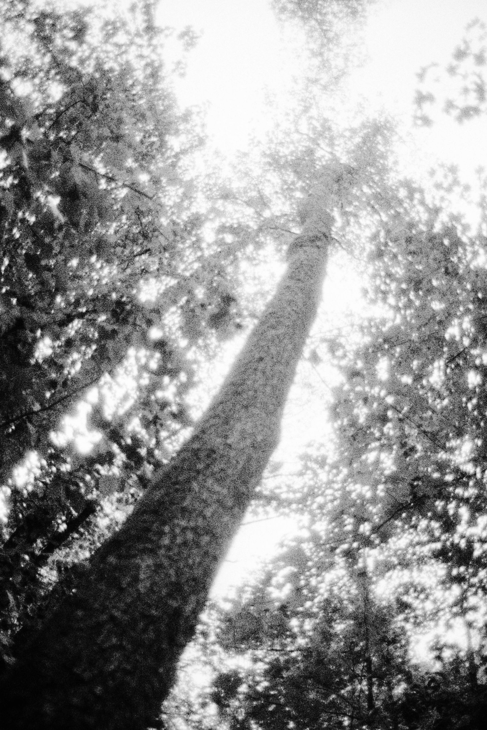 Photograph 1.5