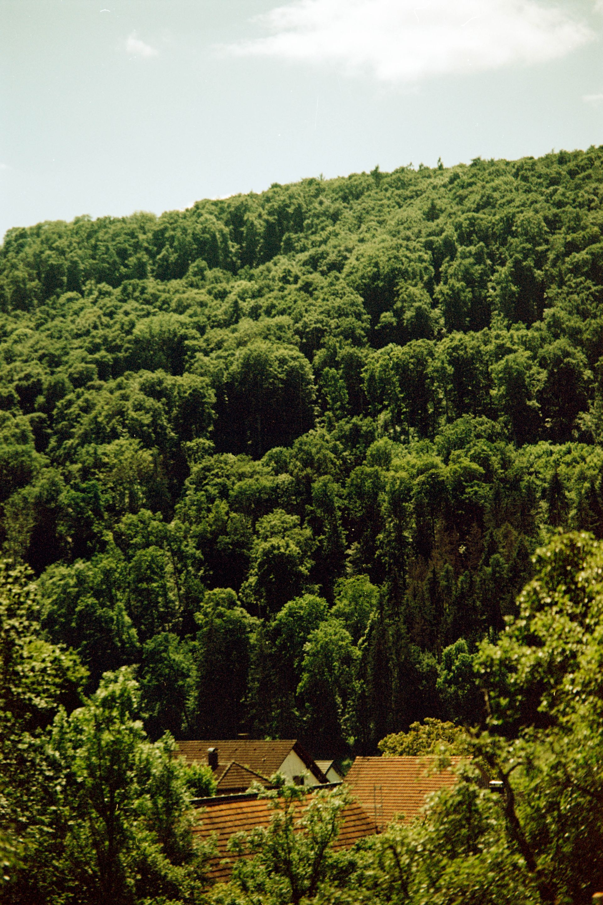 Photograph 1.6