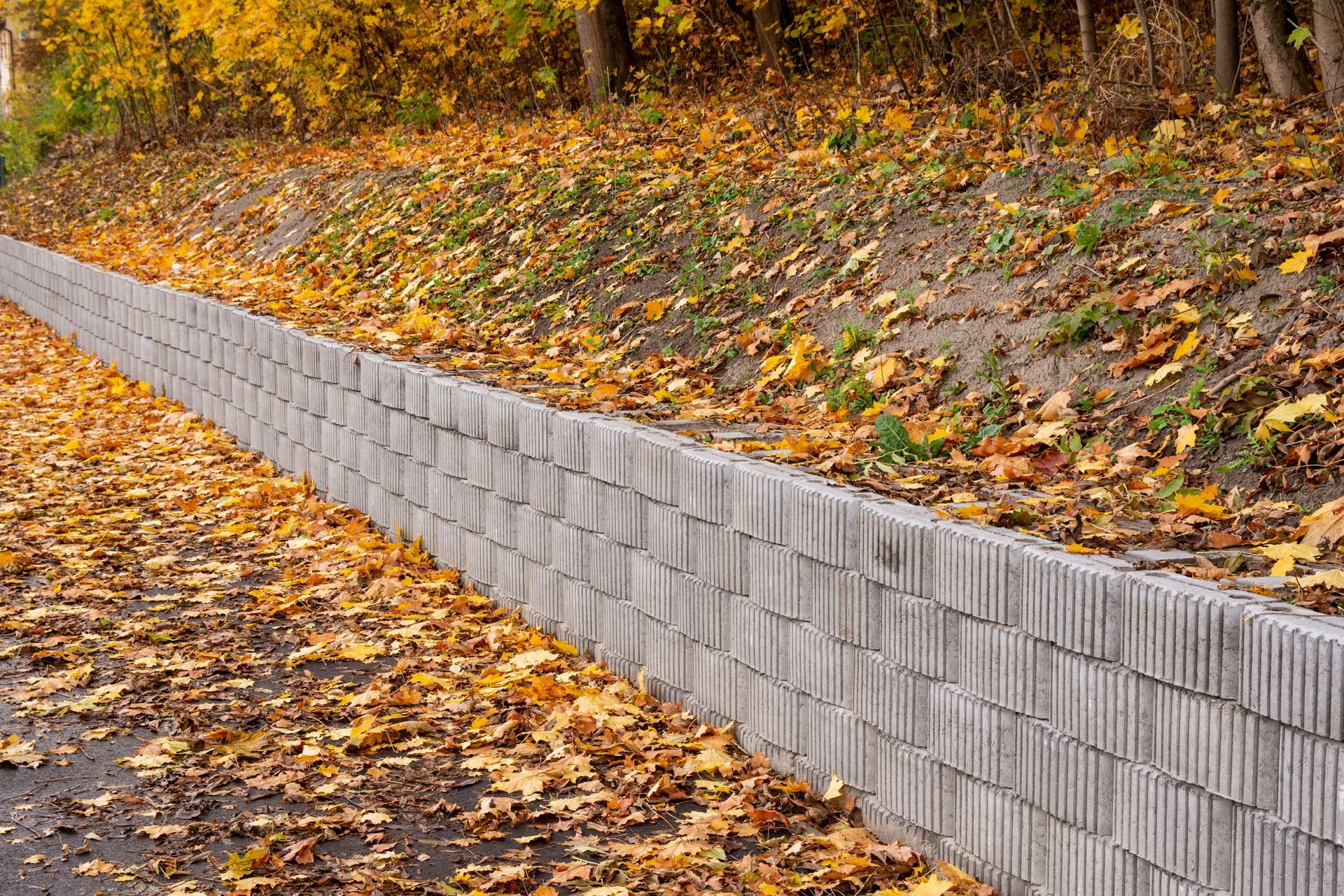 Autumn leaves piled beside a long gray retaining wall along a sloped path