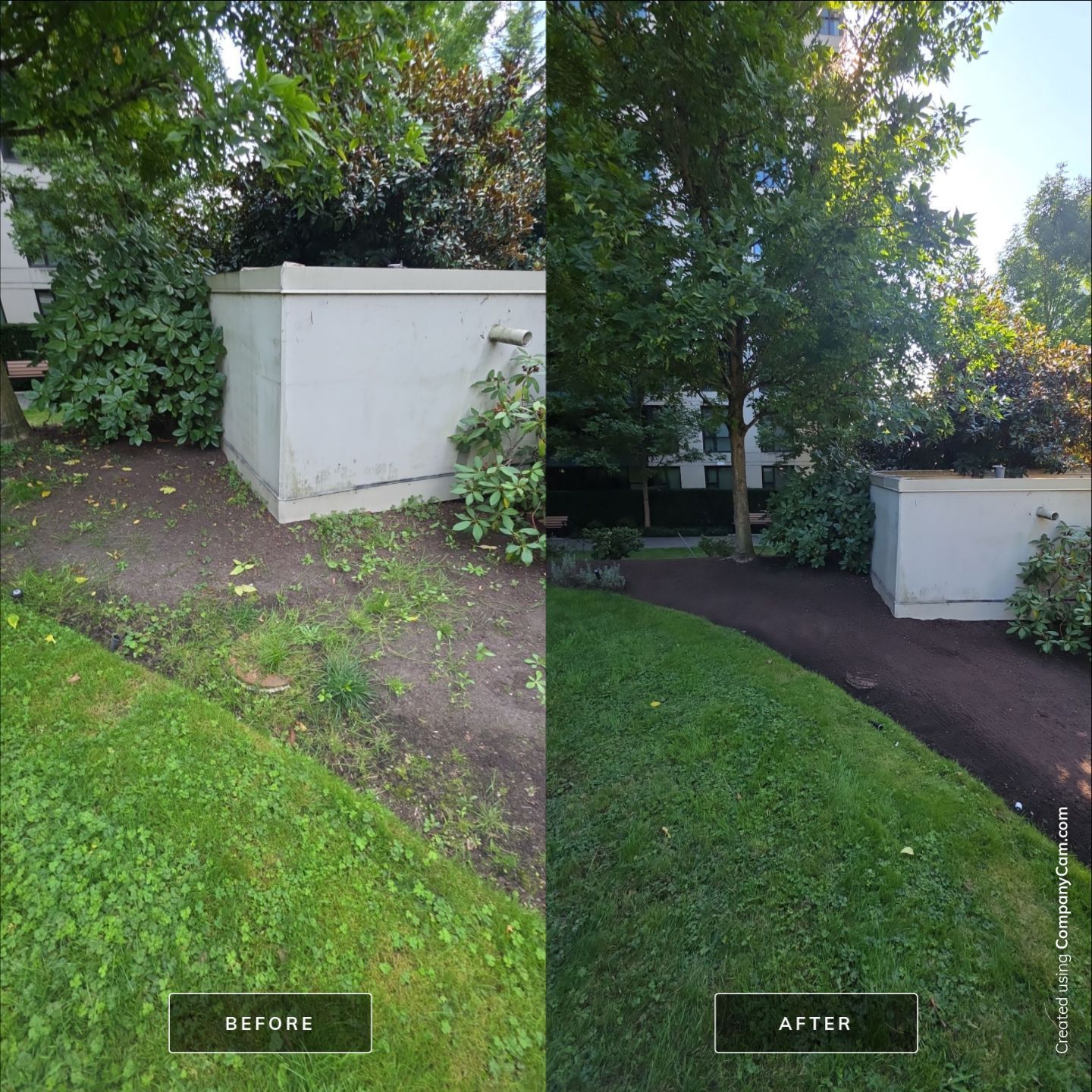 Side-by-side comparison of a garden space. Before: patchy grass and weeds. After: trimmed grass and mulch path.