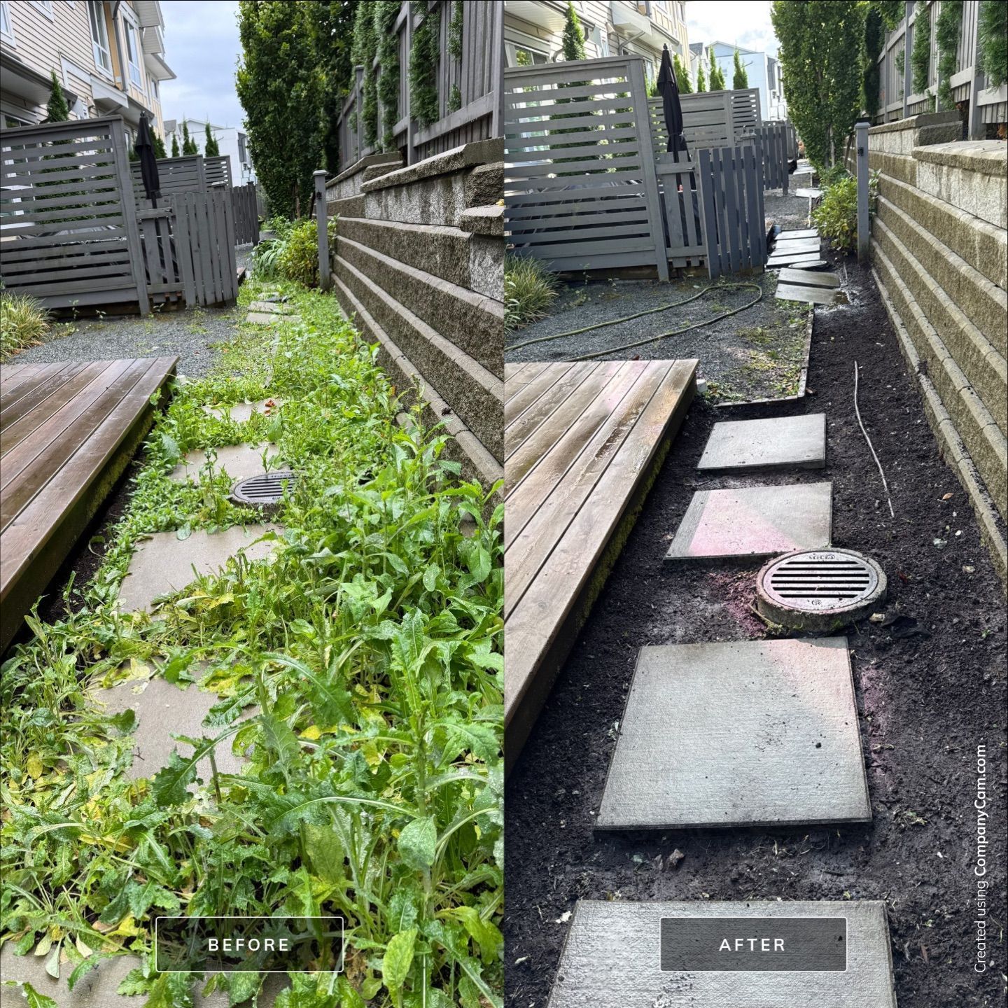 Before and after of a pathway: overgrown weeds cleared, revealing stepping stones and soil.
