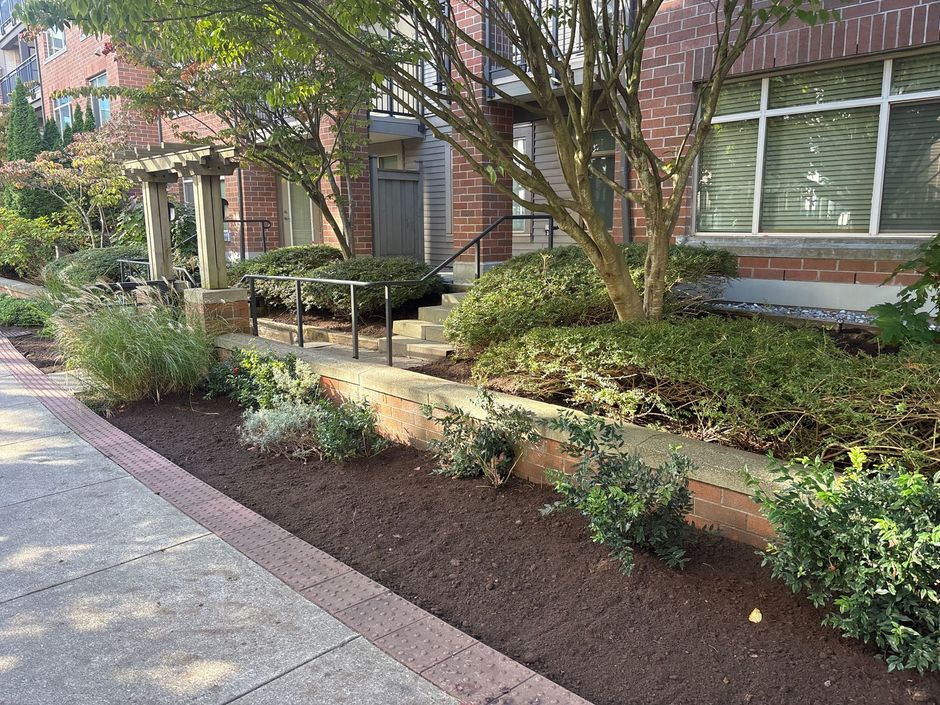 A tidy landscaped strata garden