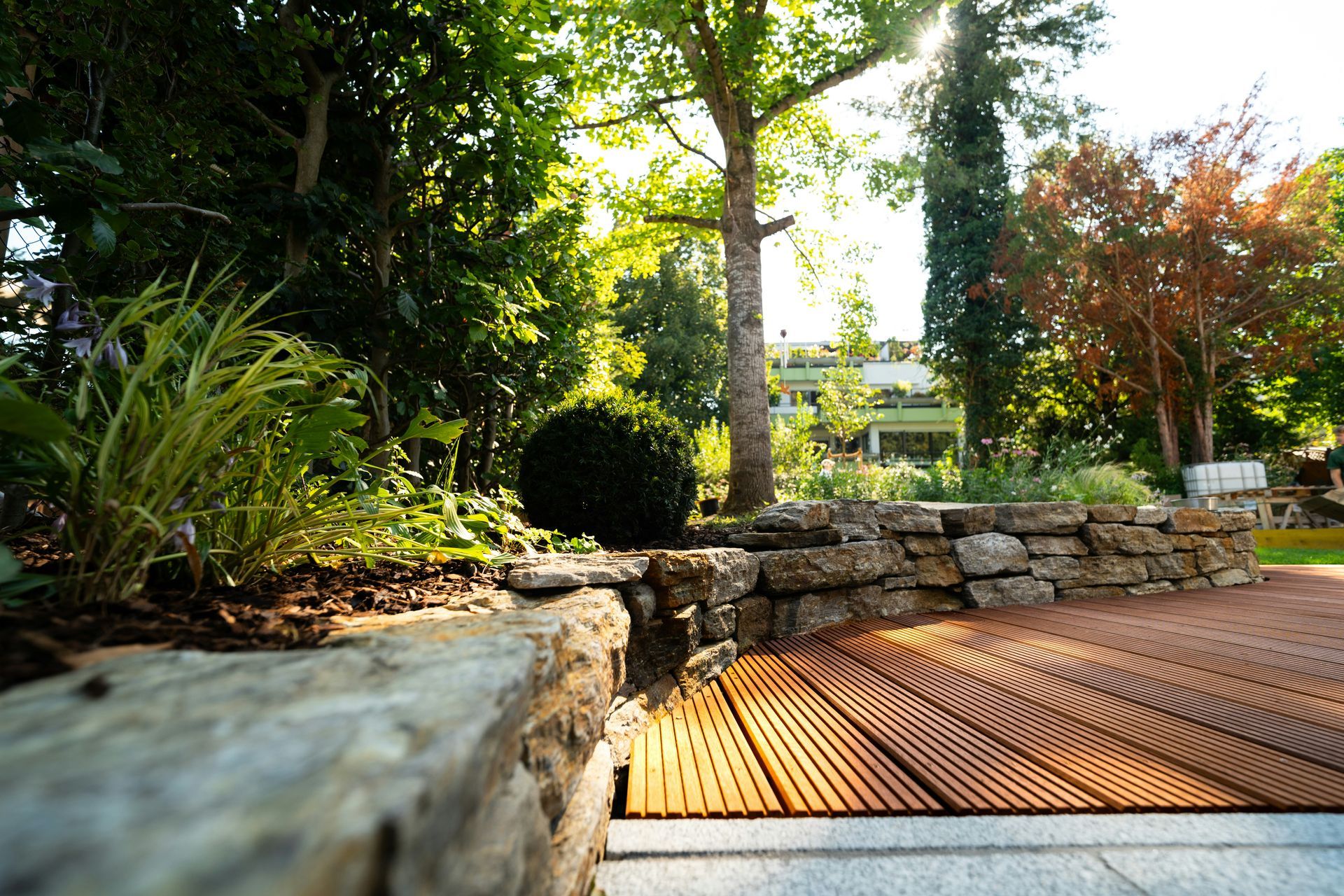 A low-angle view of a garden with a stone retaining wall, wooden deck, and lush trees under bright sunlight.