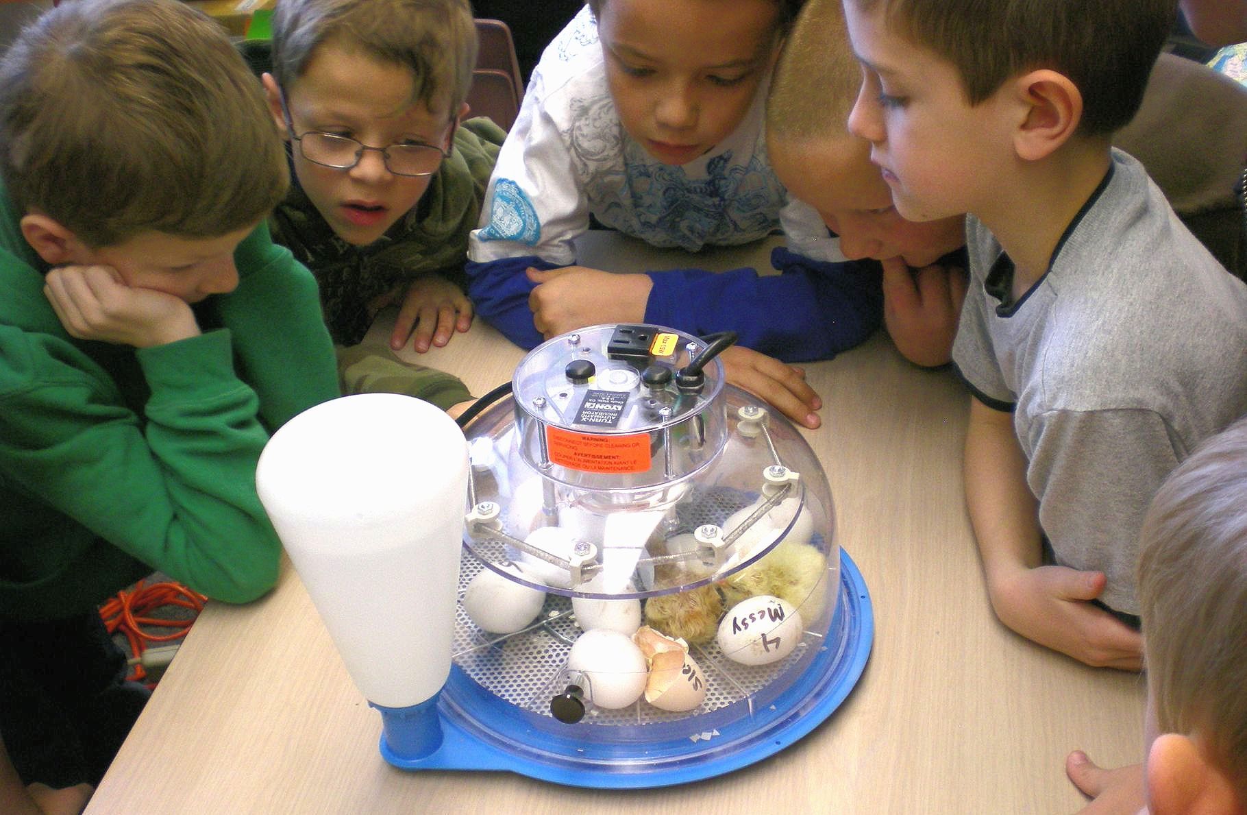 A woman is teaching a girl how to grow plants in a classroom.