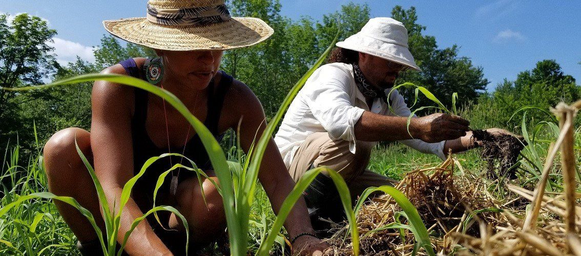 Planting the Community Gardens