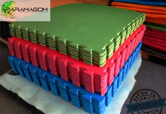 PARAMAGOM