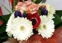 Fiori freschi