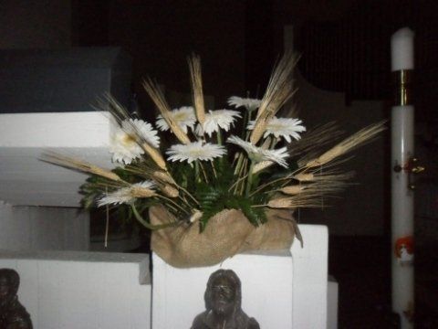 Fiori bianchi