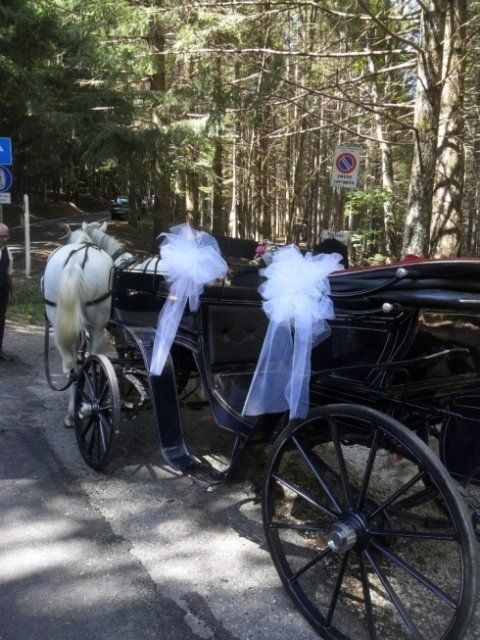 Carrozza per nozze