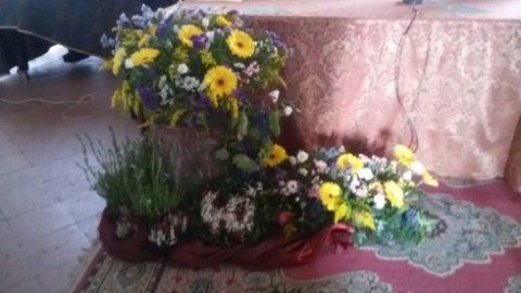 Fiori vari
