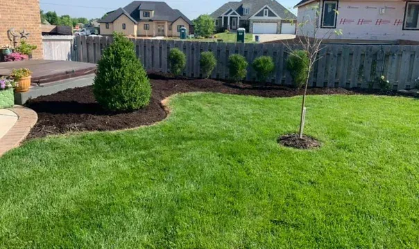 advantages of landscape clean up