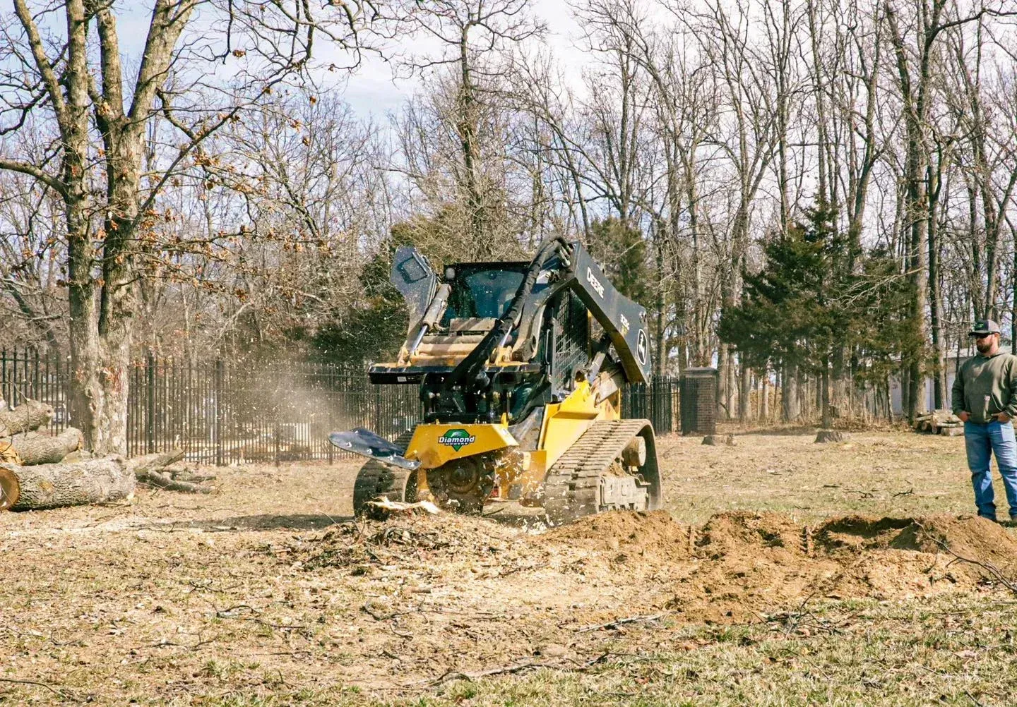 benefits of stump removal services springfield mo